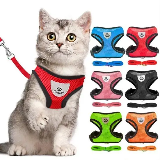 Pet Leash Cat and Dog Rope Vest Type Mesh Breathable Pet Harness