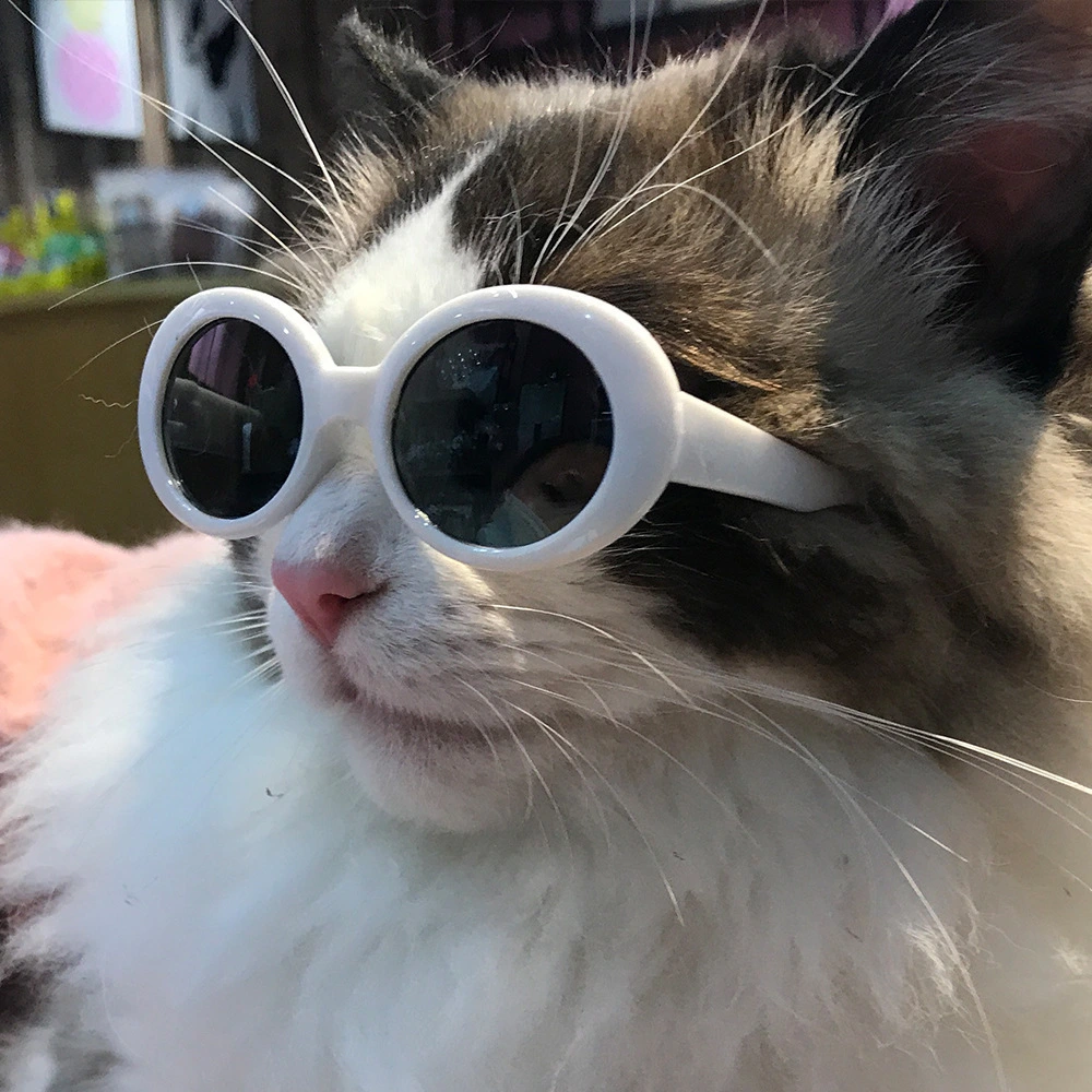 1pc Cat Sunglasses Funny Pet Sunglasses Small Dog Sunglasses Classic Retro Circular Pomeranian Sunglasses Eyewear Photos Props Accessories Cosplay Glasses