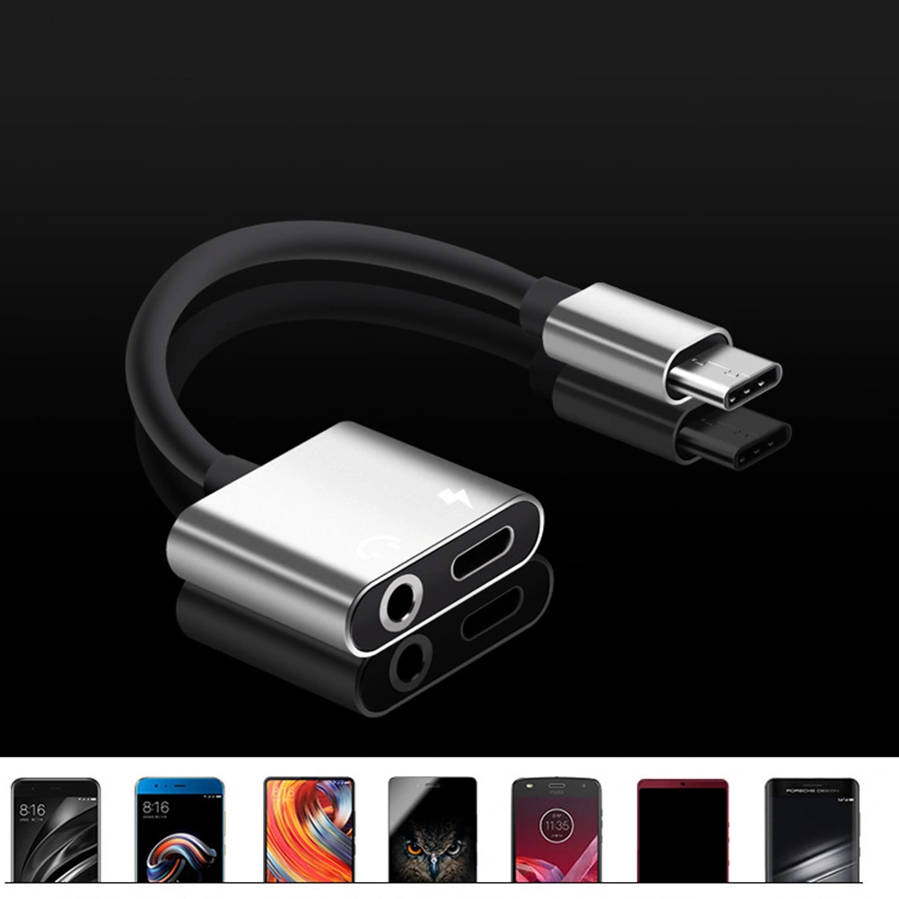 2 In 1 Aluminum Alloy Type-C to 3.5mm Headphone Adapter Audio Adapter (Silver)