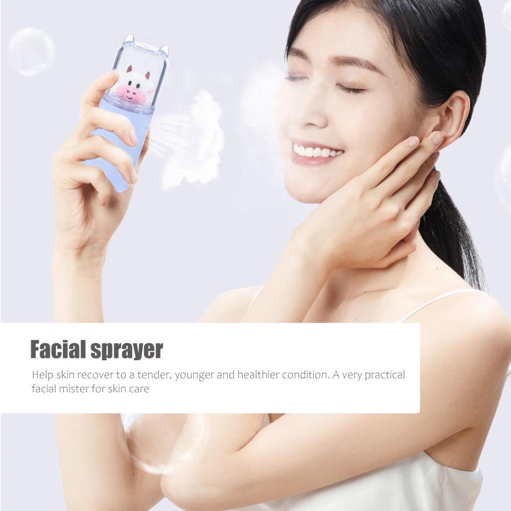 Portable Pocket Size Facial Mister Moisturizing Mist Sprayer Small Humidifier