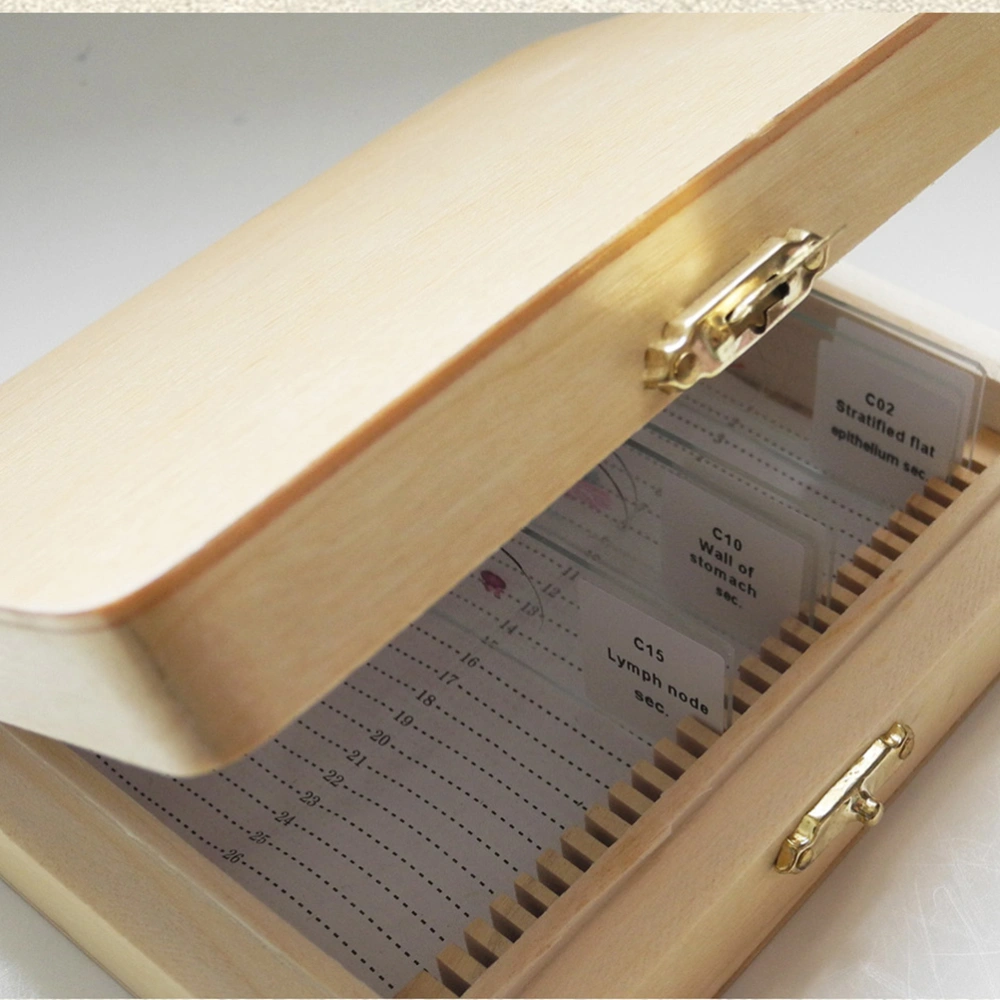 Wooden Specimen Slide Storage Box 26-Slot Plant Insect Specimen Slide Case Education Tool