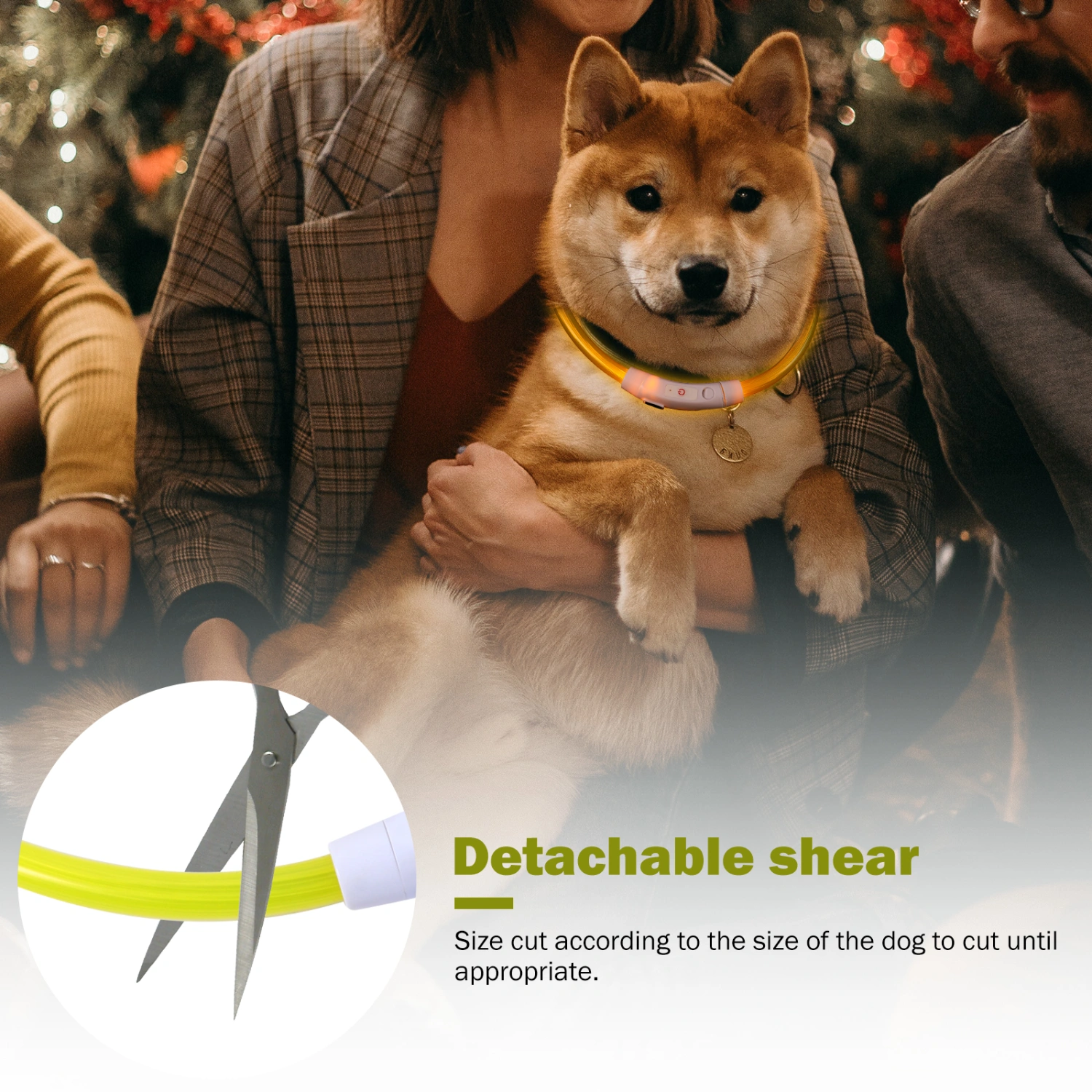 LED Dog Collar USB Rechargeable Glowing Pet Collar for Night Safety Pet Supply