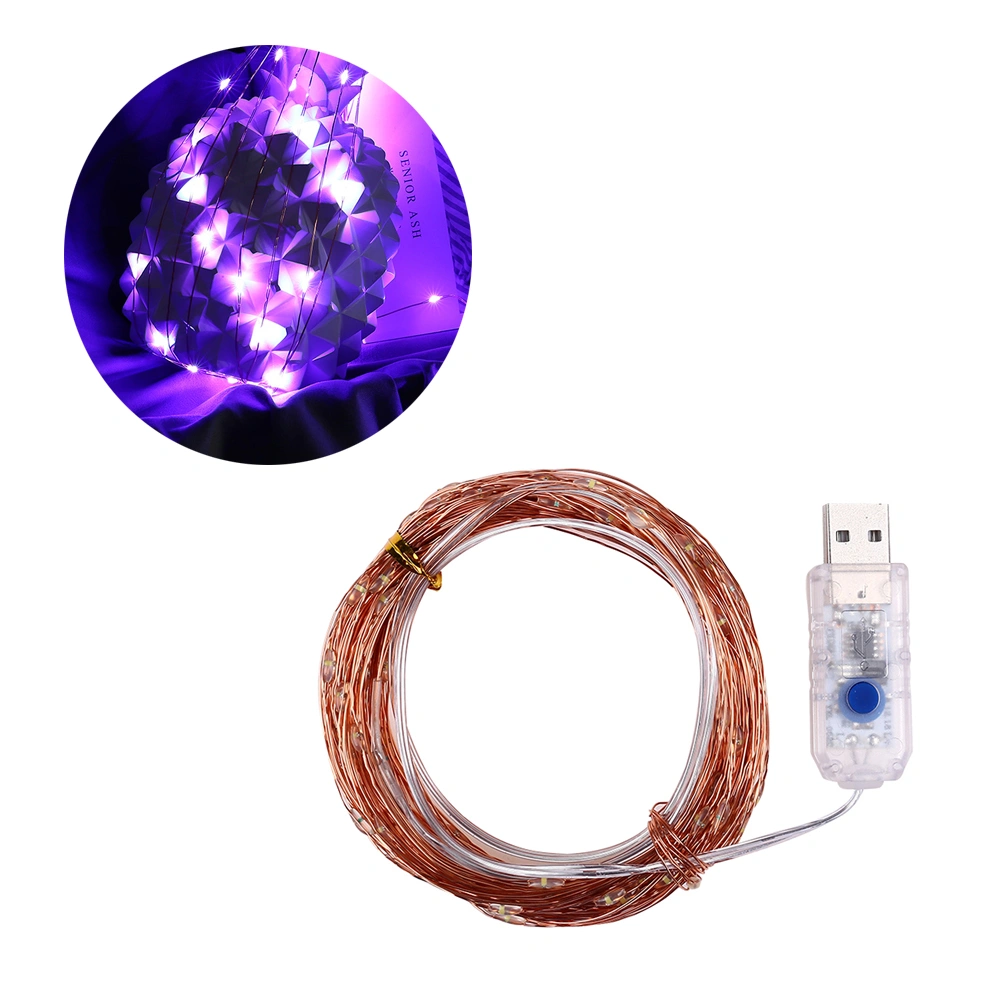 10M USB 100 LED 8 Function Copper Wire String Lights Fairy Light with Remote Controller For Xmas Festival Holiday Wedding Home Decoration No Battery BZ1194 (Purple)
