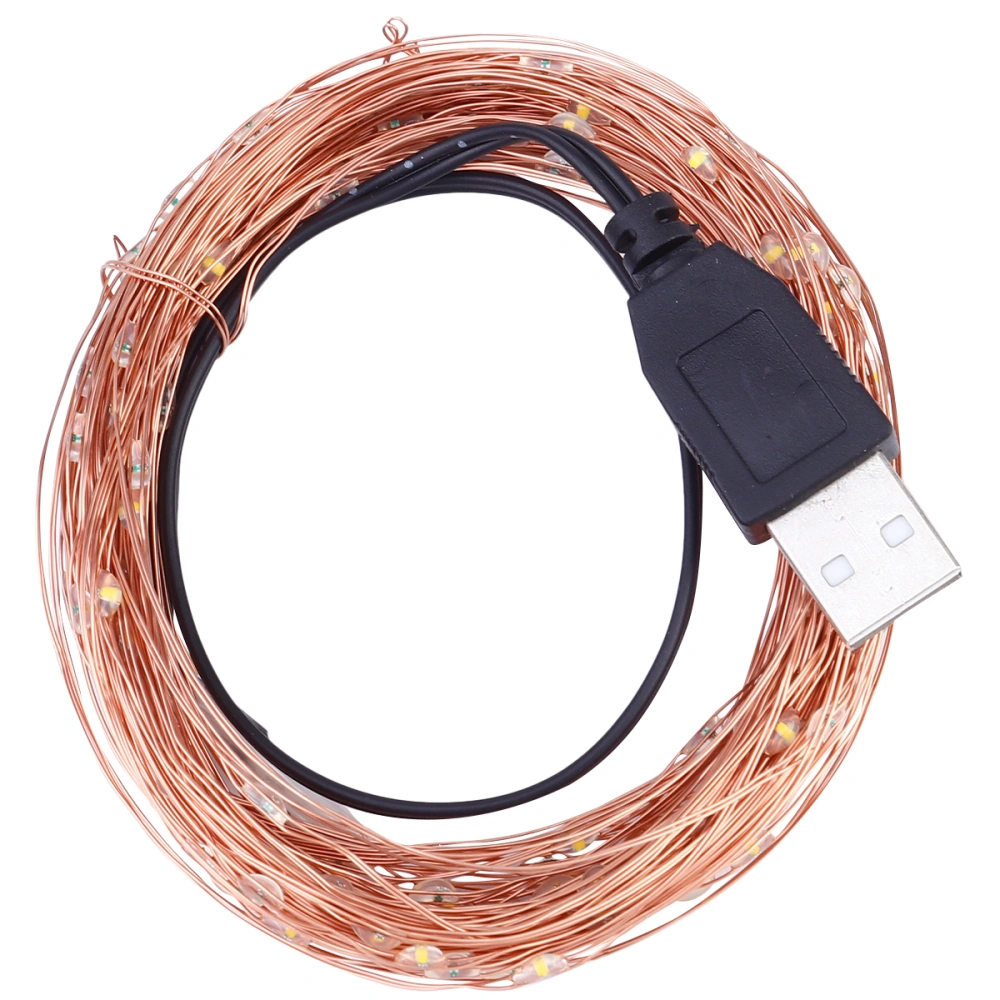 1pc Halloween USB Copper Wire String Lamp Festive Wedding Decorative Lamp Brown