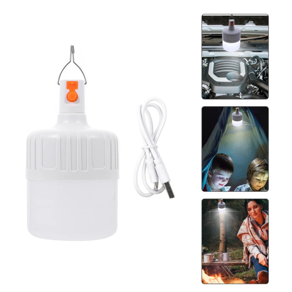 1pc Useful LED Camping Lamp Professional Night Light for Emergency Use