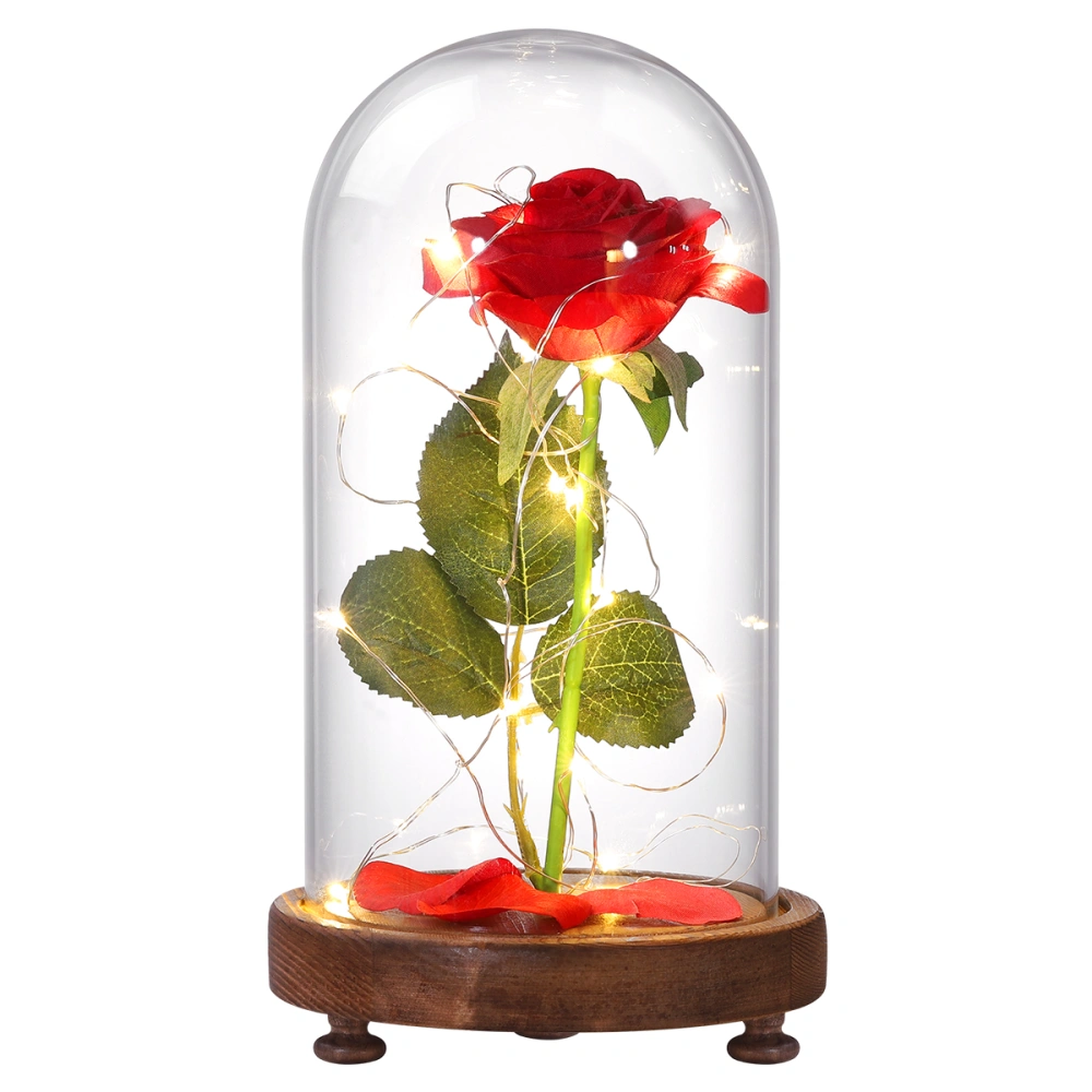 OSALADI Flower Rose with Fallen Petal in Luxury Glass Dome with LED Lights Gift Box for Valentine's Day Mother's Day Anniversary Wedding