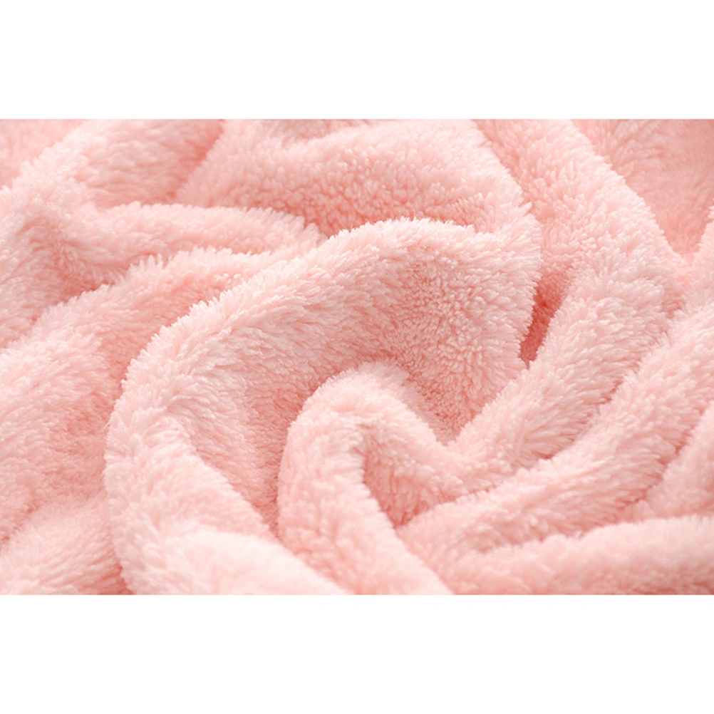 10pcs Face Makeup Remover Cloths Microfiber Facial Cleansing Cloth Washcloth for Women Lady (Pink Blue Cyan Purple Beige for Each 2pcs)