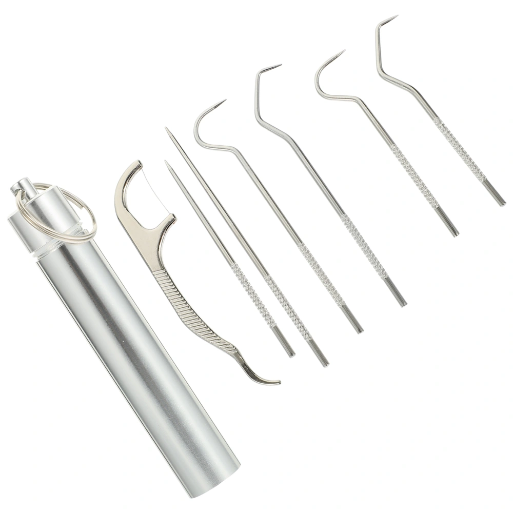 1 Set Stainless Steel Toothpick Kit Reusable Toothpick Tool Oral Care Tools