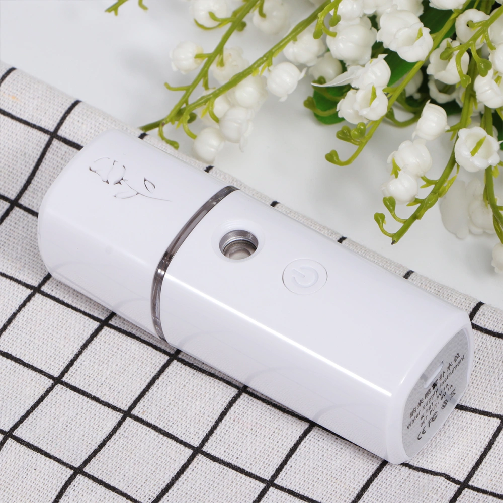 1Pc Creative and Durable Portable Charging Humidifier Nano Spray Hydrator (White)