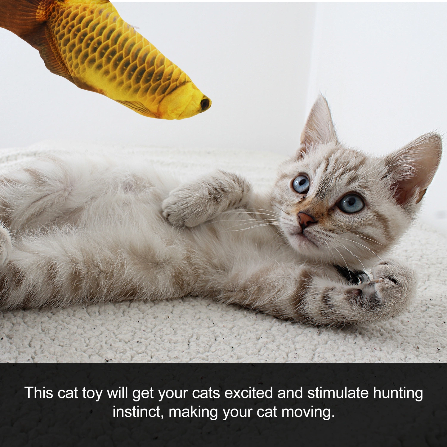 Electric Floppy Fish Cat Toy Moving Fish Cat Toy Baby Fish Toy Electric Fish