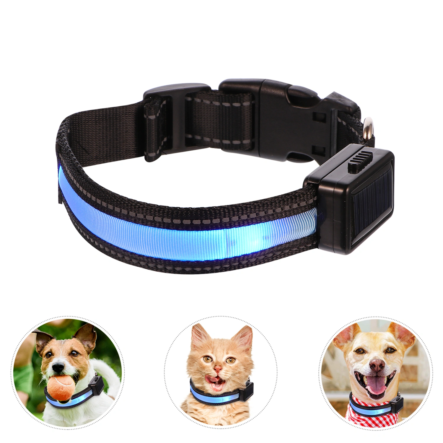 1 Set Light Up Dog Collar Glowing Pet Dog Collar LED Dog Flashing Collar