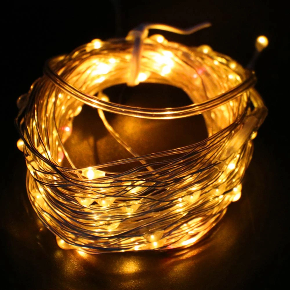 10M LED String Lights Waterproof Light String Copper Wire usb Powered Rope lights for Garden Patio Home Lighting Decoration (Warm White Light)