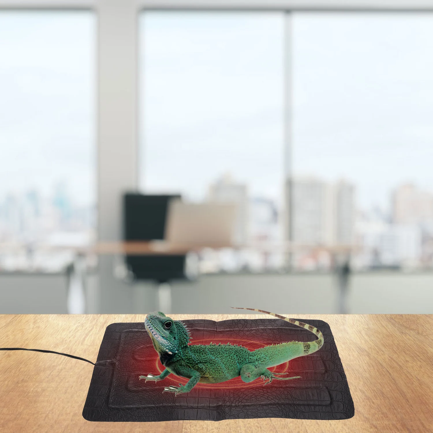 1Pc Reptile Heating Pad Electric Heated Lizard Mat Portable Small Pet Heating Mat