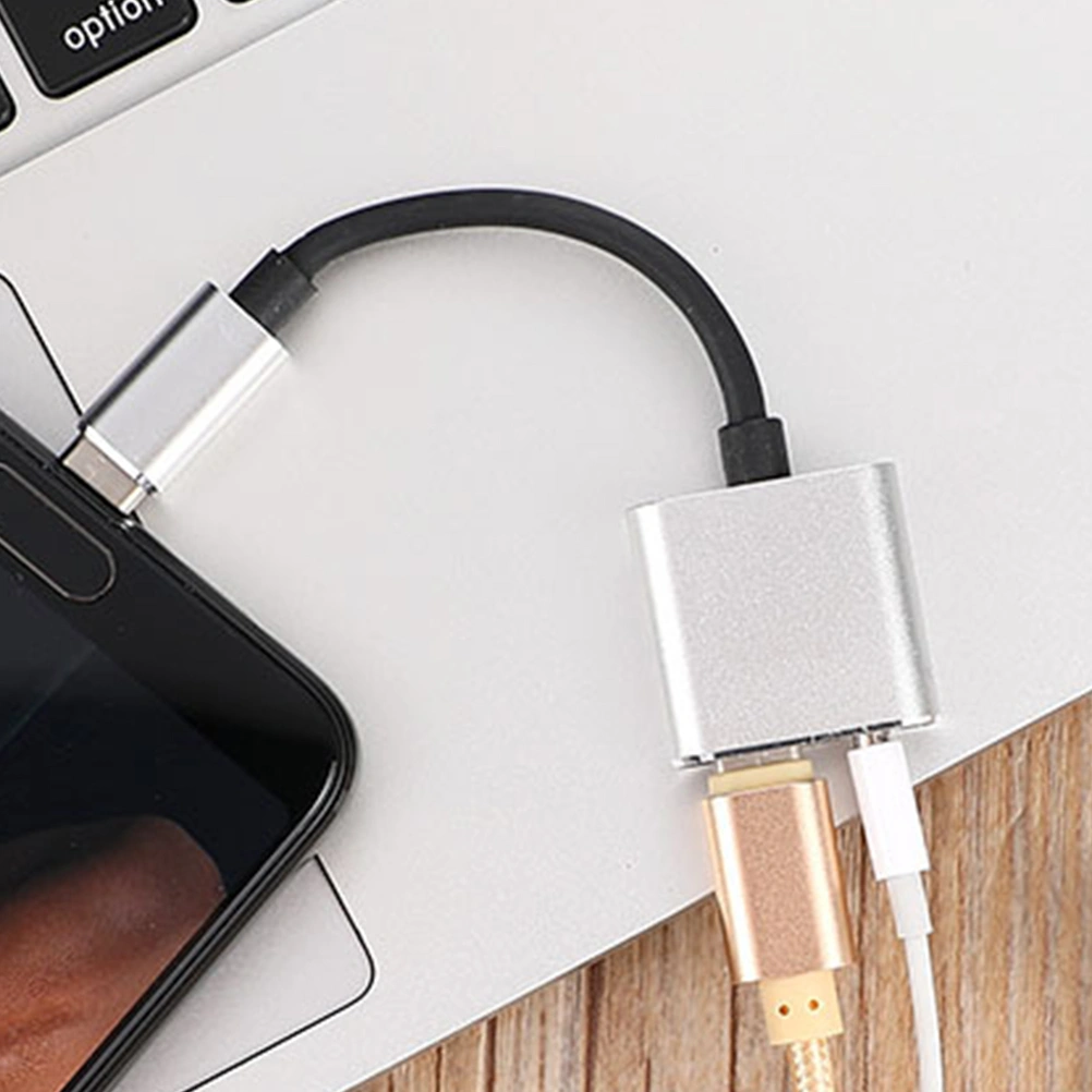 USB Type C to 3.5mm Audio Adapter Cable 2 In 1 Type-C to 3.5mm Jack Stereo Headphone Mic Adapter Aux Converter Charging Adapter for Pixel 2/2 XL/ Huawei/ HTC U11/ Pro and More (Silver)