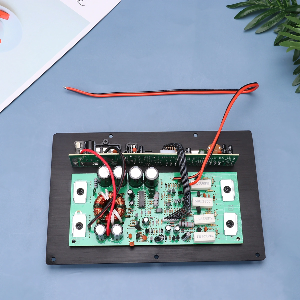 Audio Power Amplifier Mainboard Car Subwoofer Audio Power Amplifier Mainboard High-Power Car Audio Power Amplifier Mainboard (1000W 10inch, 12V)