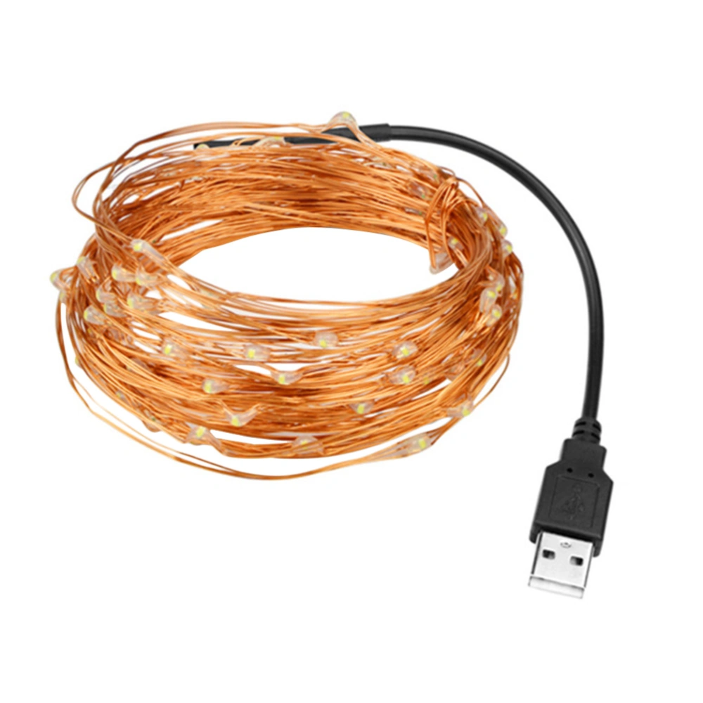 String Light 10m 100LEDs Copper Wire String Light Holiday Decoration Supply