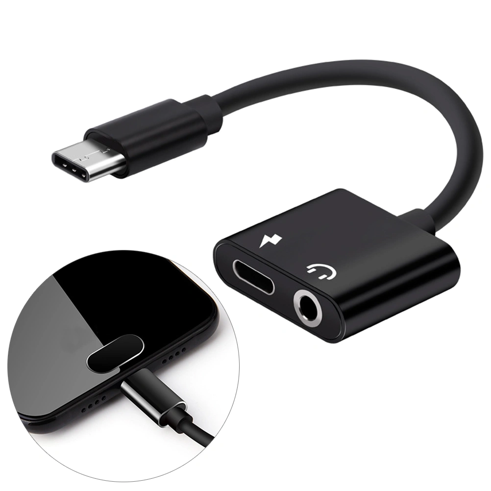 2 In 1 Aluminum Alloy Type-C to 3.5mm Headphone Adapter Audio Adapter(Black)
