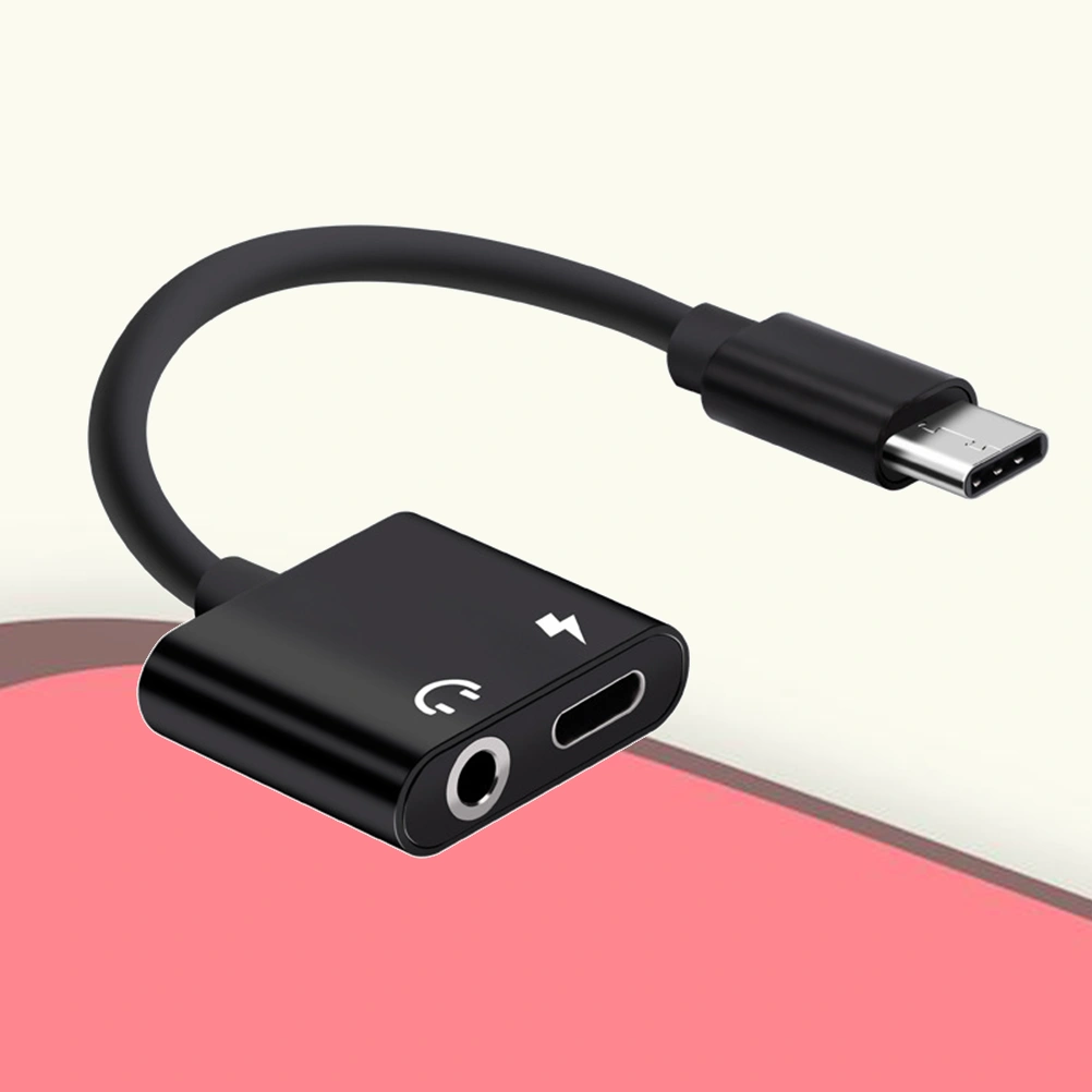 2 In 1 Aluminum Alloy Type-C to 3.5mm Headphone Adapter Audio Adapter(Black)