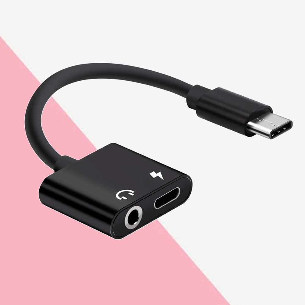 2 In 1 Aluminum Alloy Type-C to 3.5mm Headphone Adapter Audio Adapter(Black)