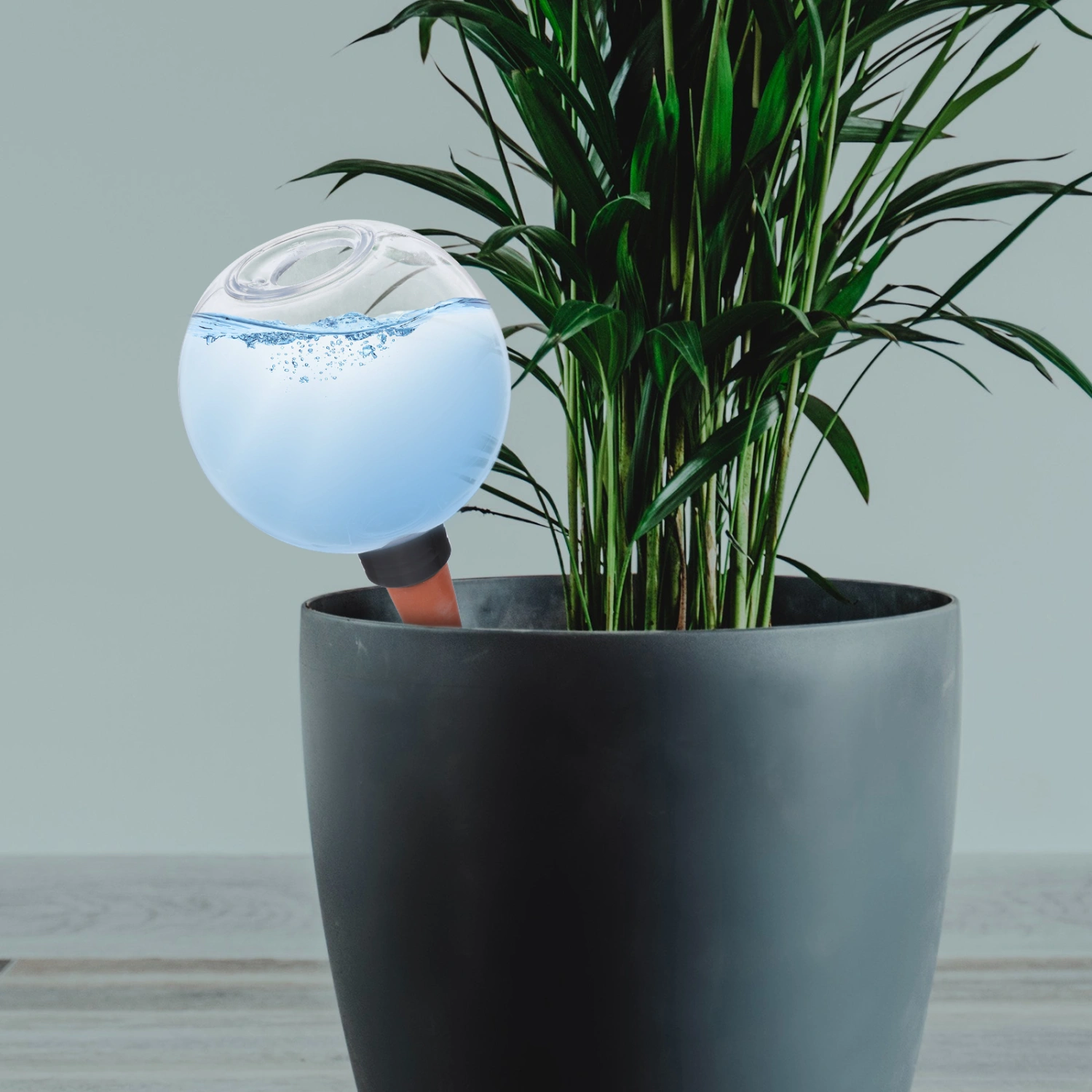 Creative Shaped Self Watering Bulb Garden Watering Globe Plants Watering Dropper