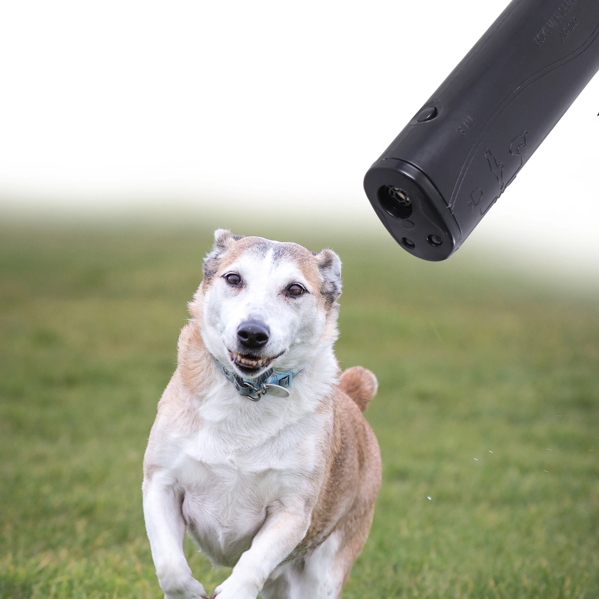 Ultrasonic LED Dog Repeller Trainer Pet Dog Rumbling Equipment Flashlight 2800mcd 3 Mode for Training Dog Drive Dog without Battery (Black)