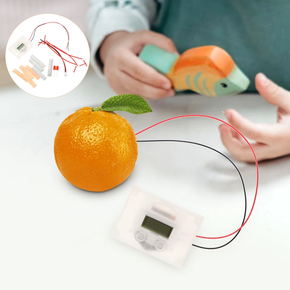 1 Set of Scientific Experiment Fruit Battery Student DIY Fruit Battery School Student Experiment