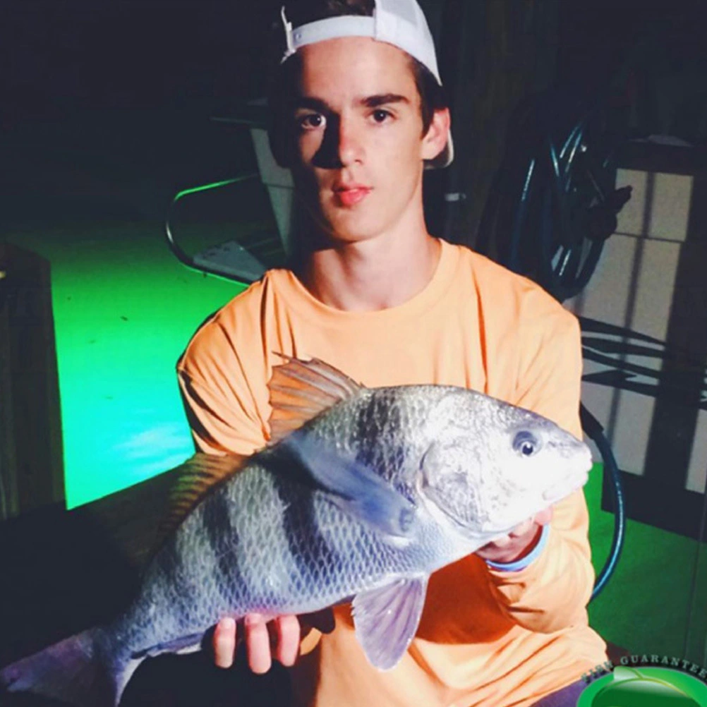 Underwater Fishing Light Deep Drop Fishing Light Fish Attracting LED Light