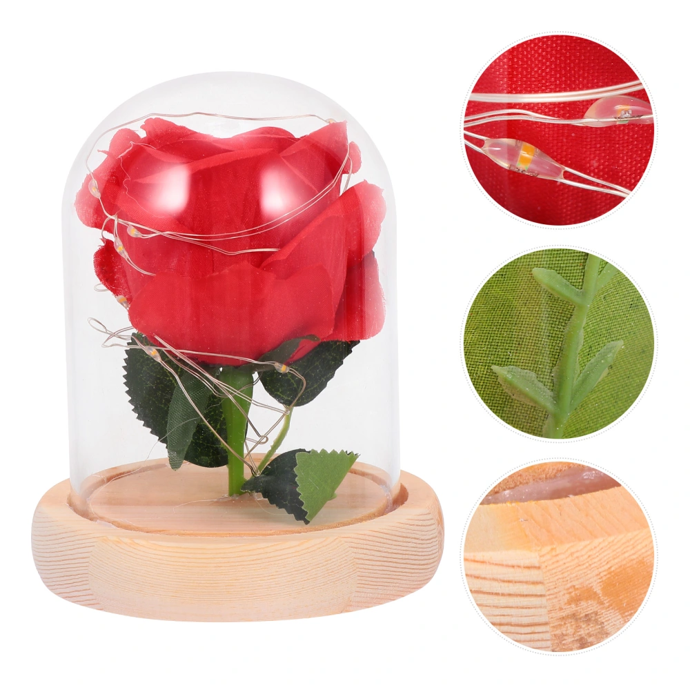 Couple Gift Preserved Rose Flower LED Lights in Glass Dome without Battery