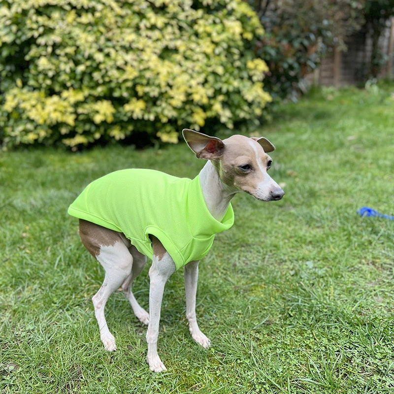 Summer Whippets Breathable Anti Mosquito Pet Clothes Vest