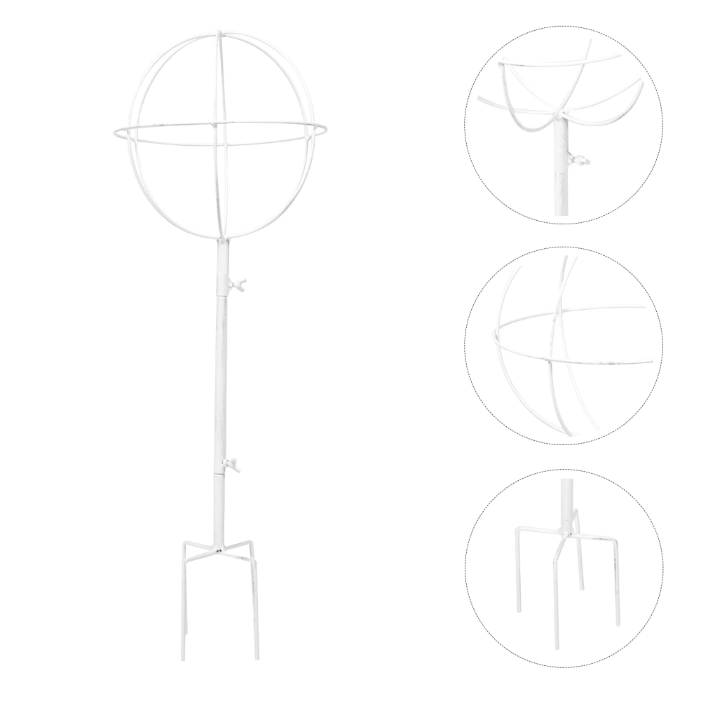 Trellis for Climbing Plants Plant Climbing Trellis Iron Plant Trellis Vine Metal Support Plant Support Rack