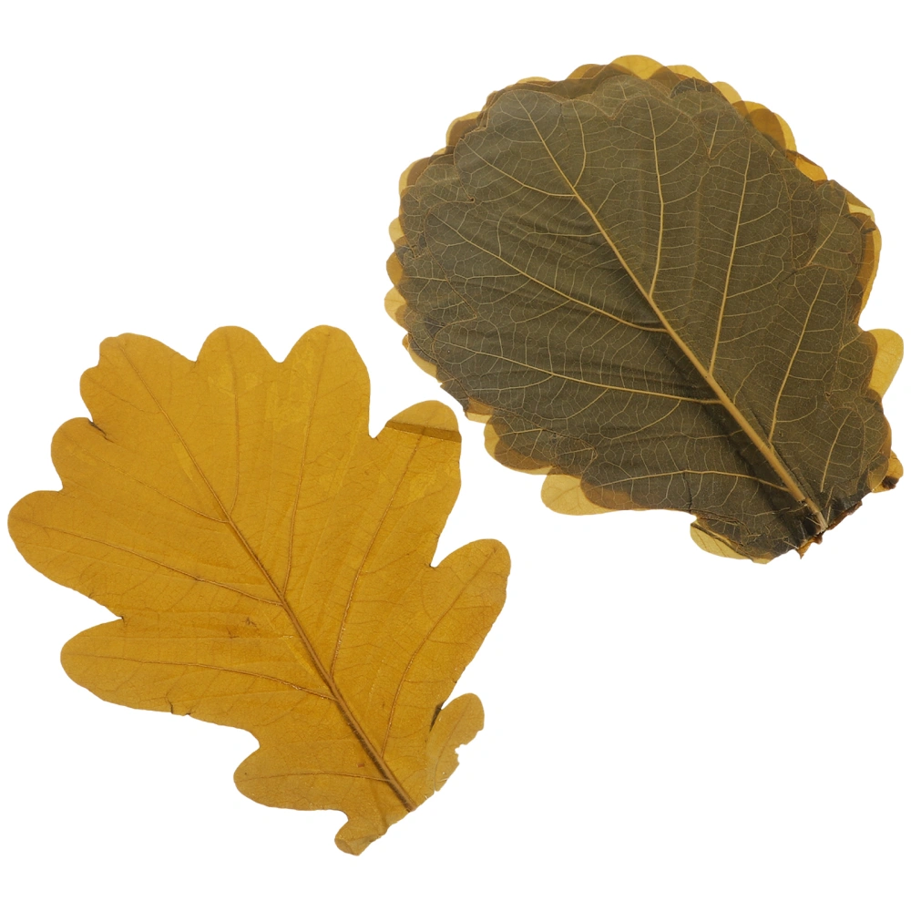 20pcs Restaurant Decoration Leaf Decor Japanese Sushi Sashimi Seafood Baking Natural Leaves