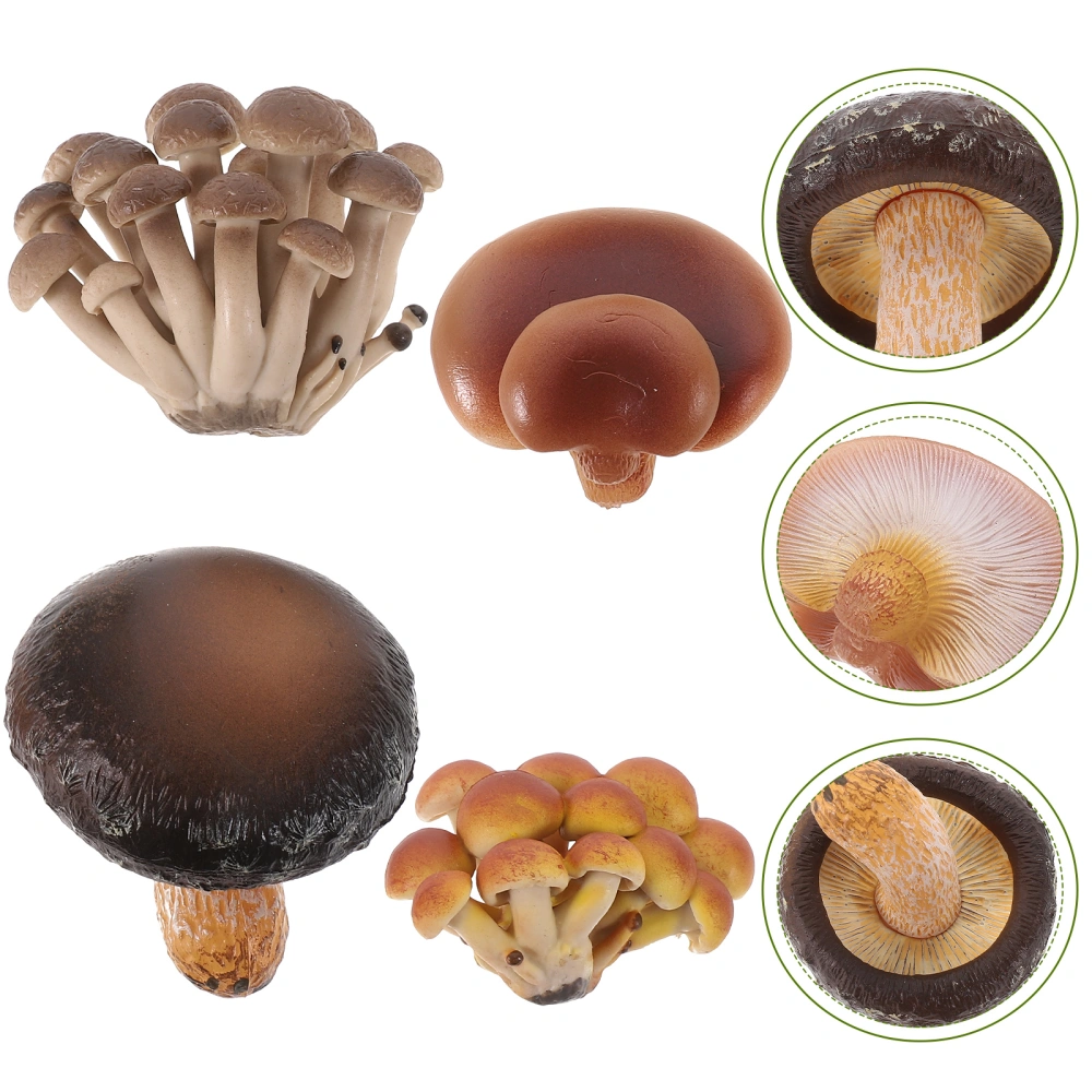 4pcs Mushroom Growing Cycle Models Funny Agaric Life Cycle Toys Education Props Mushroom Cognitive Model