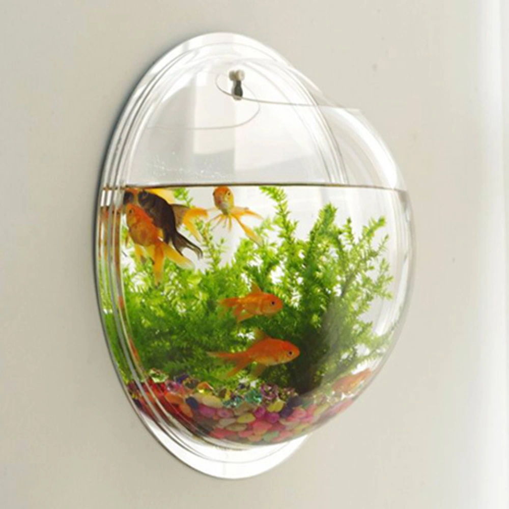 Wall-Hanging Fish Bowl Acrylic Wall-Mounted Plant Pot Acrylic Clear Fish Tank Wall Planter Decor