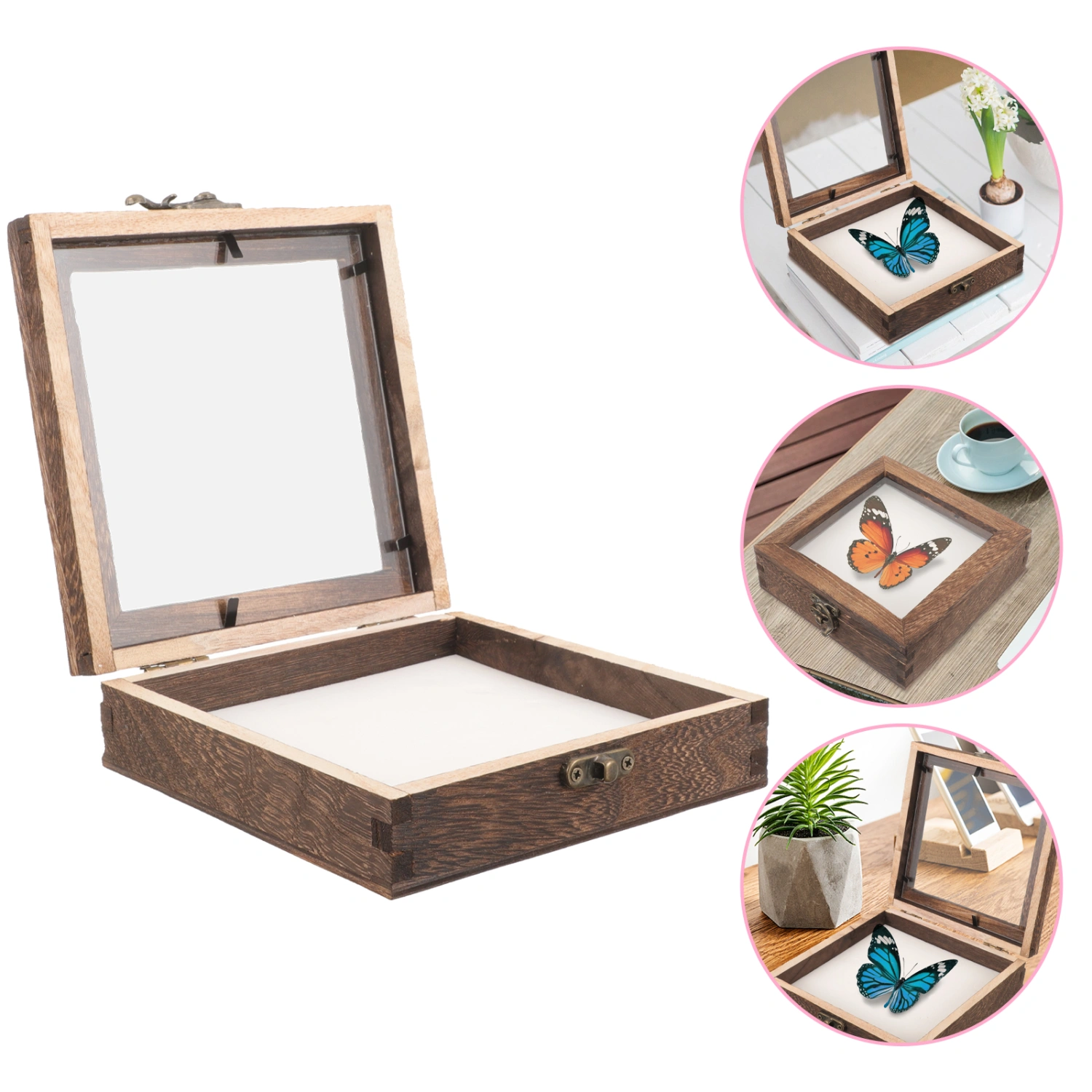 1 Set of Insect Display Case Durable Insect Specimen Box Wood Insect Showcase for Home