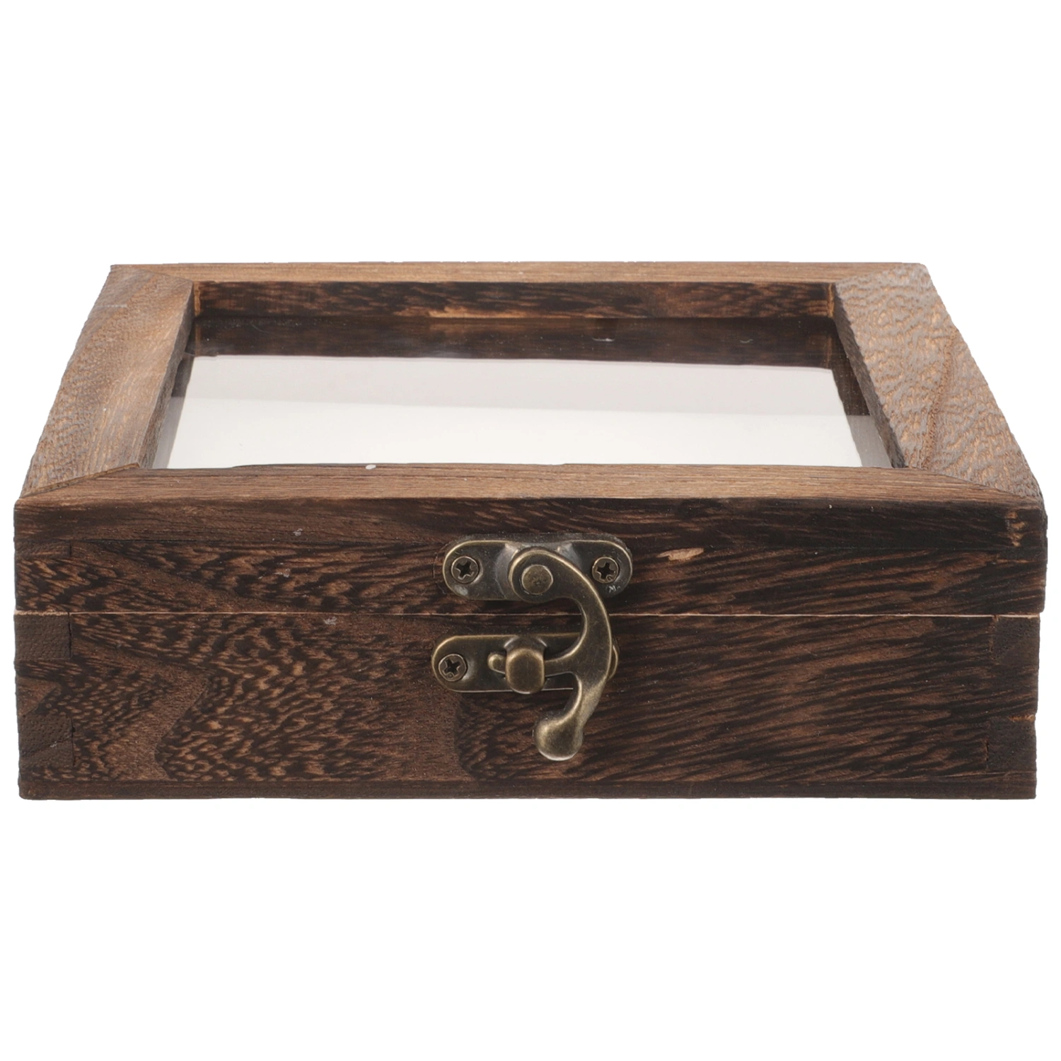 1 Set of Insect Display Case Durable Insect Specimen Box Wood Insect Showcase for Home