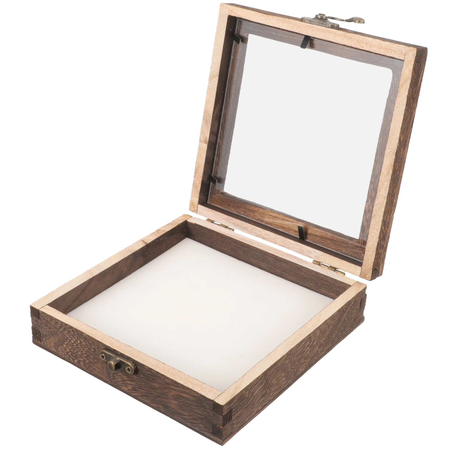 1 Set of Insect Display Case Durable Insect Specimen Box Wood Insect Showcase for Home