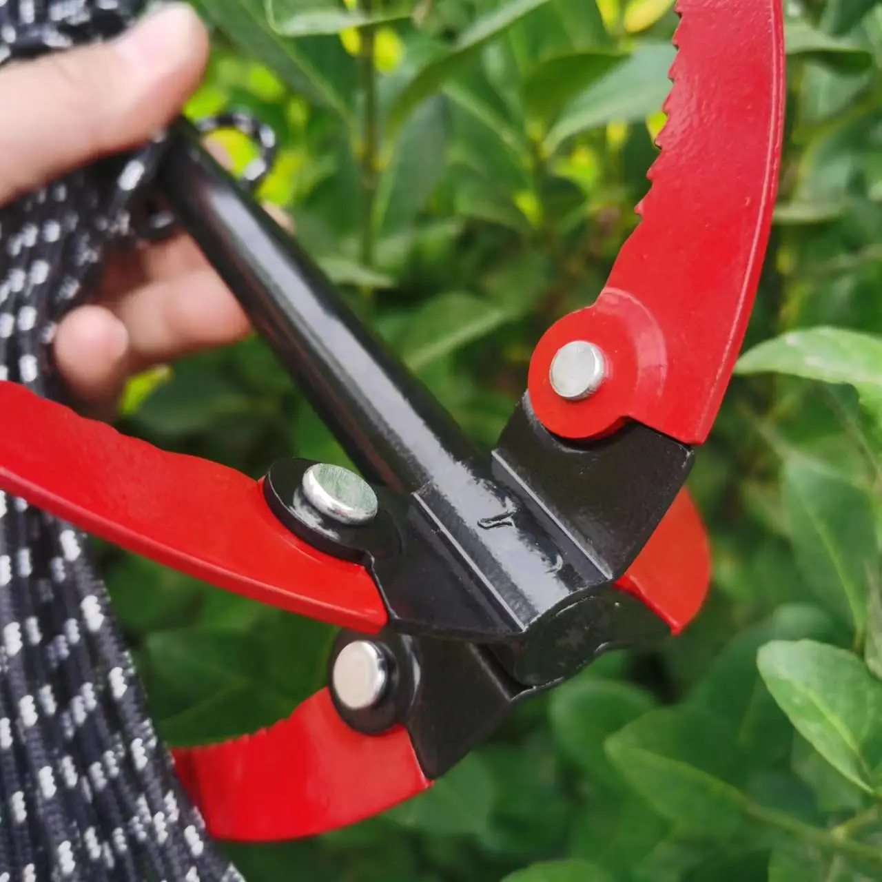 1 Set Foldable Grass Remover Tool Outdoor Weed Remover Tool Stainless Steel Weed Razor