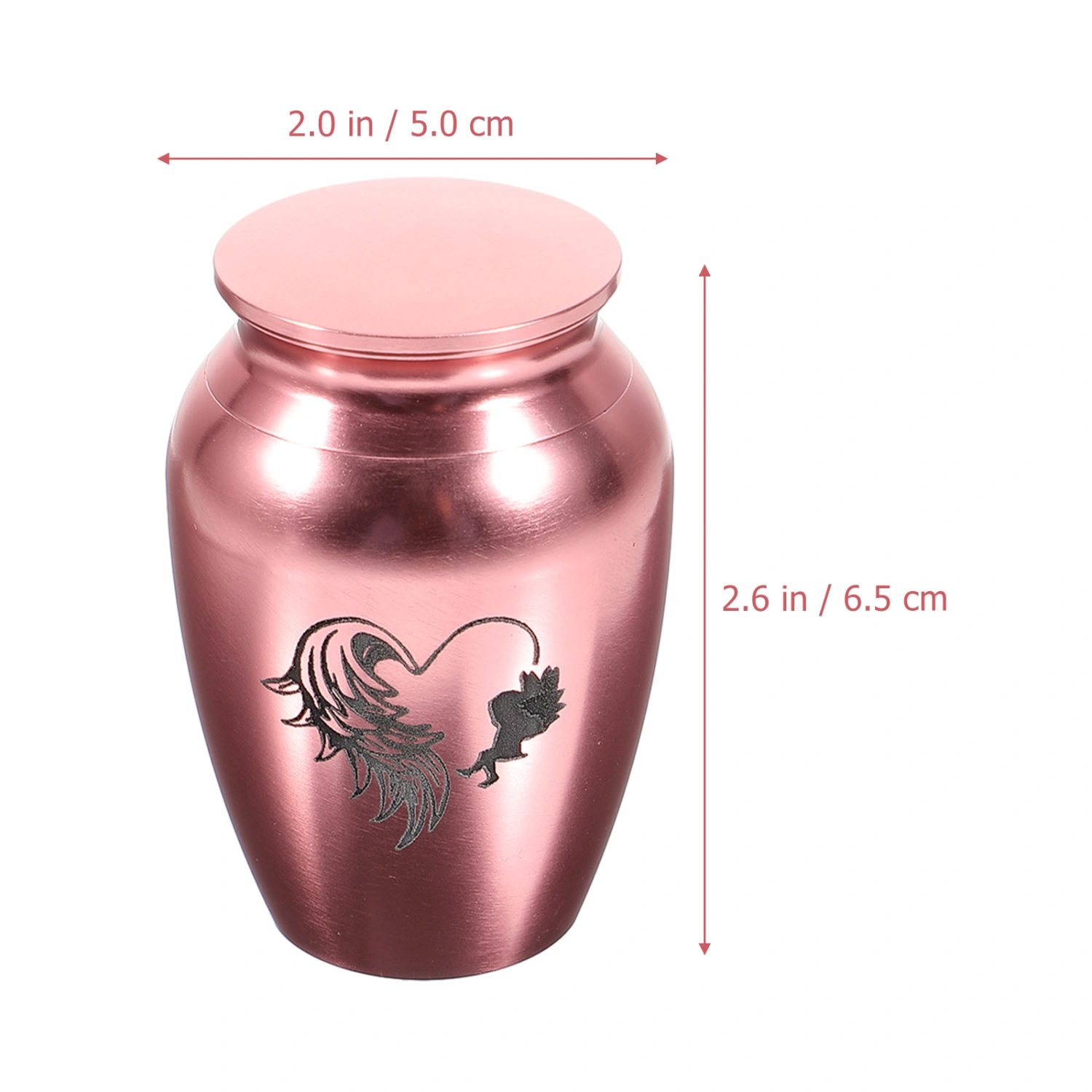 Stainless Steel Pet Urn Cinerary Casket Memorial Cremated Box Mini Cat Ashes Container