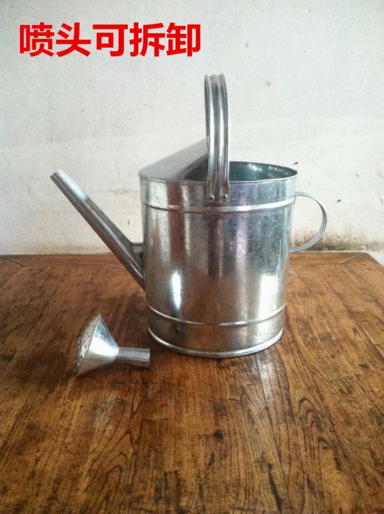 Watering Can Large Capacity Spray Spout Water Sprinkler Handle Iron Kettle