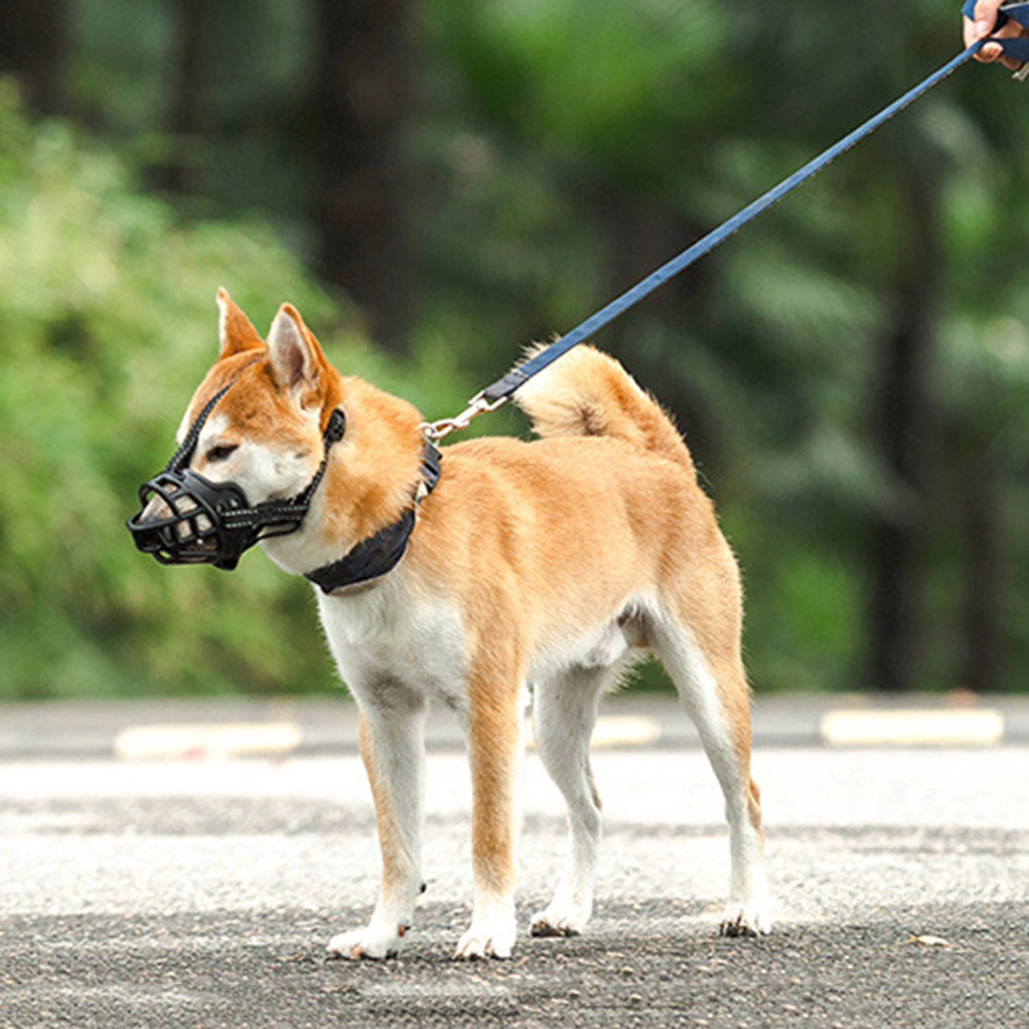 Dog Mouth Cover Mouth Protector Breathable Muzzle Dog Mask Puppy Muzzle for Outdoor
