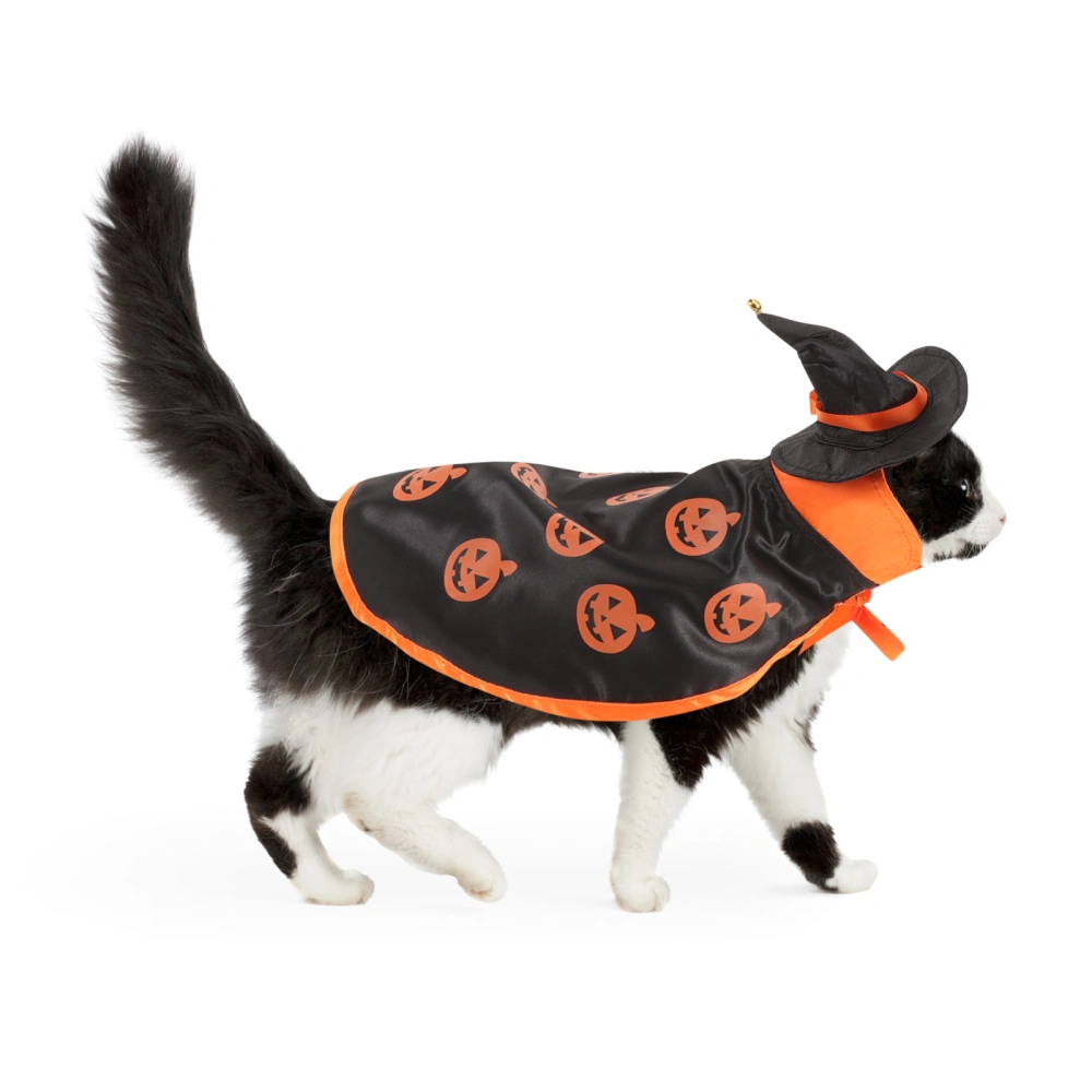 1 Set Halloween Pet Costume Pet Hat and Cloak Decorative Halloween Pet Garment