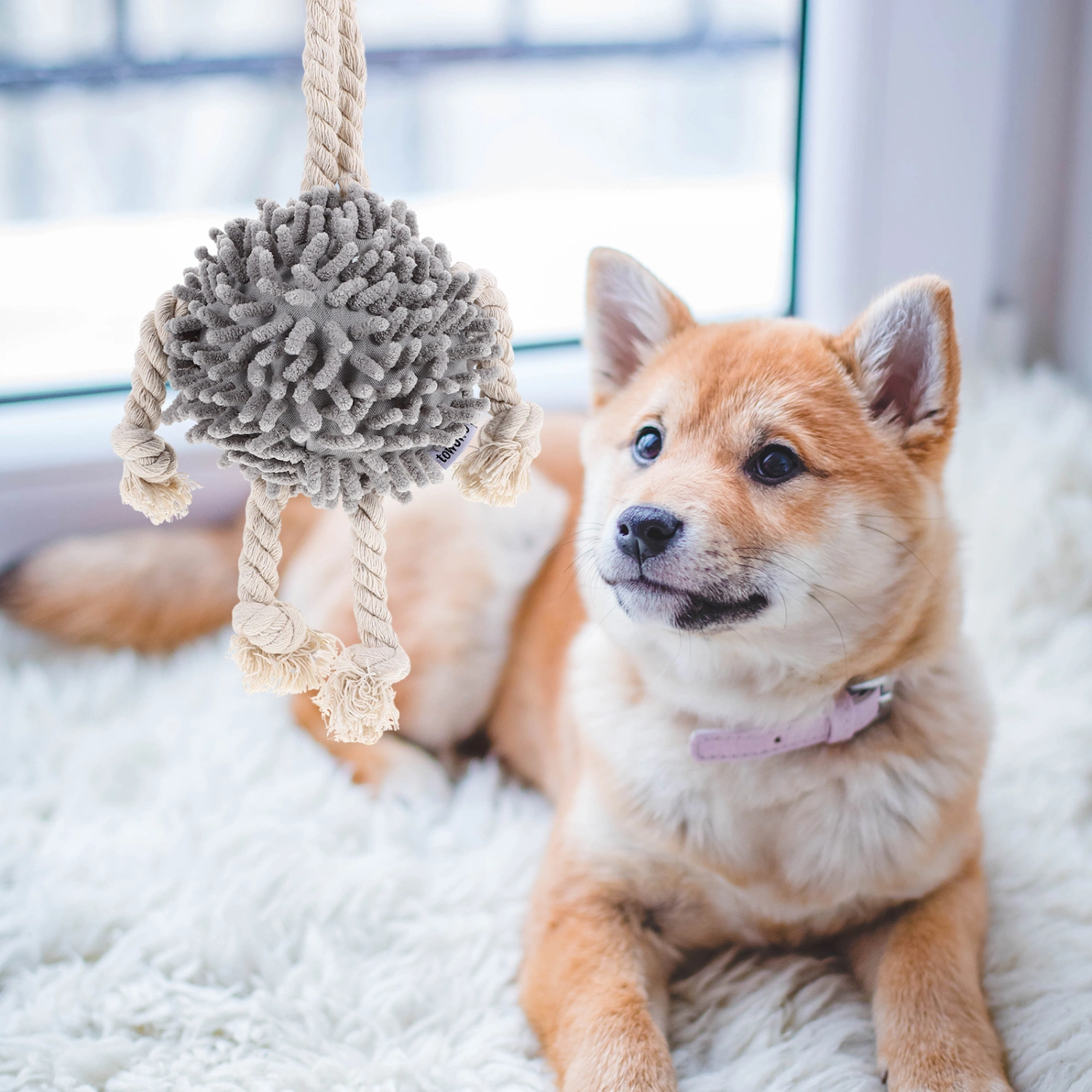 Dog Plaything Tug Toy Dog Squeaky Toy Tug Rope Toy Interactive Dog Plaything