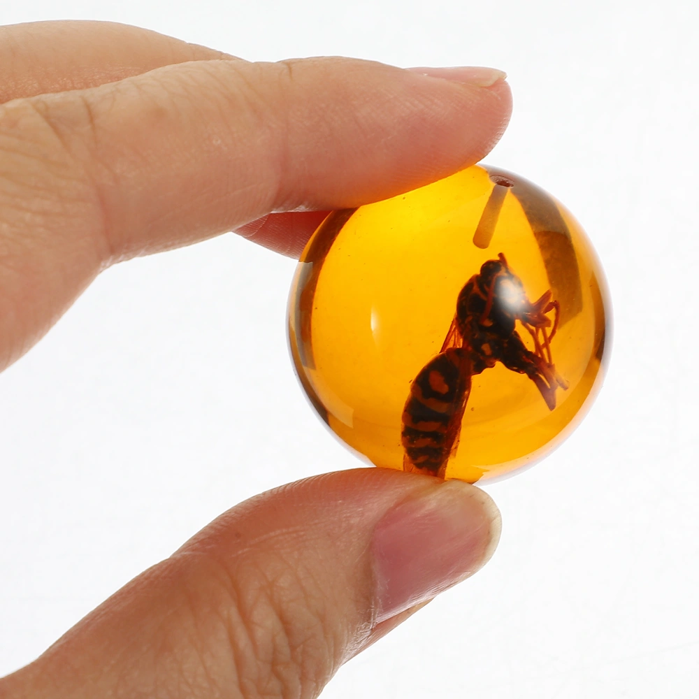 5Pcs Insect Amber Resin Decorative Resin Amber Decoration Real Insect Specimen Amber