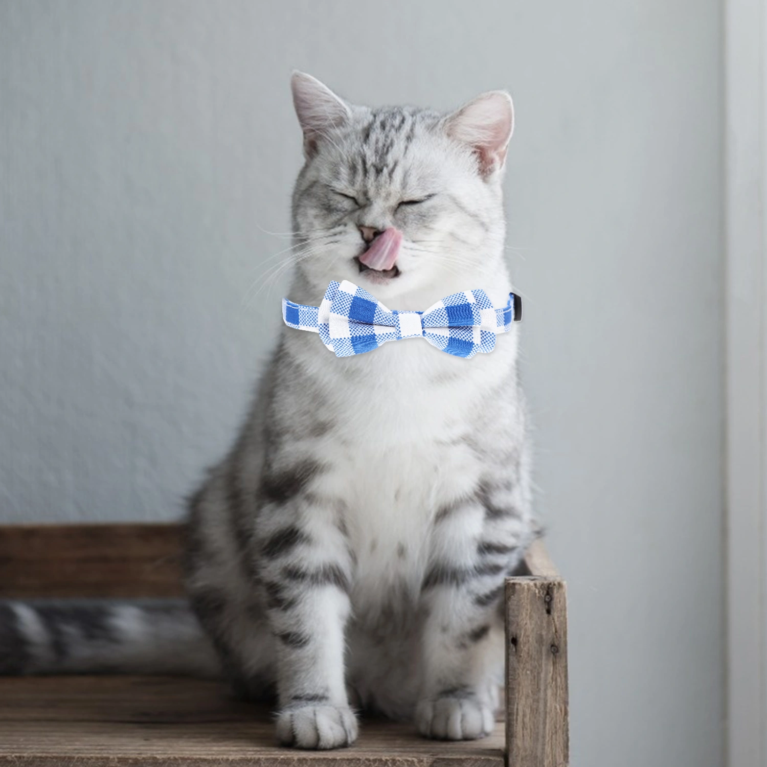 Cat Collar with Bowtie Cat Bowtie Collar Pet Collar Adorable Cat Collar Pet  Collar