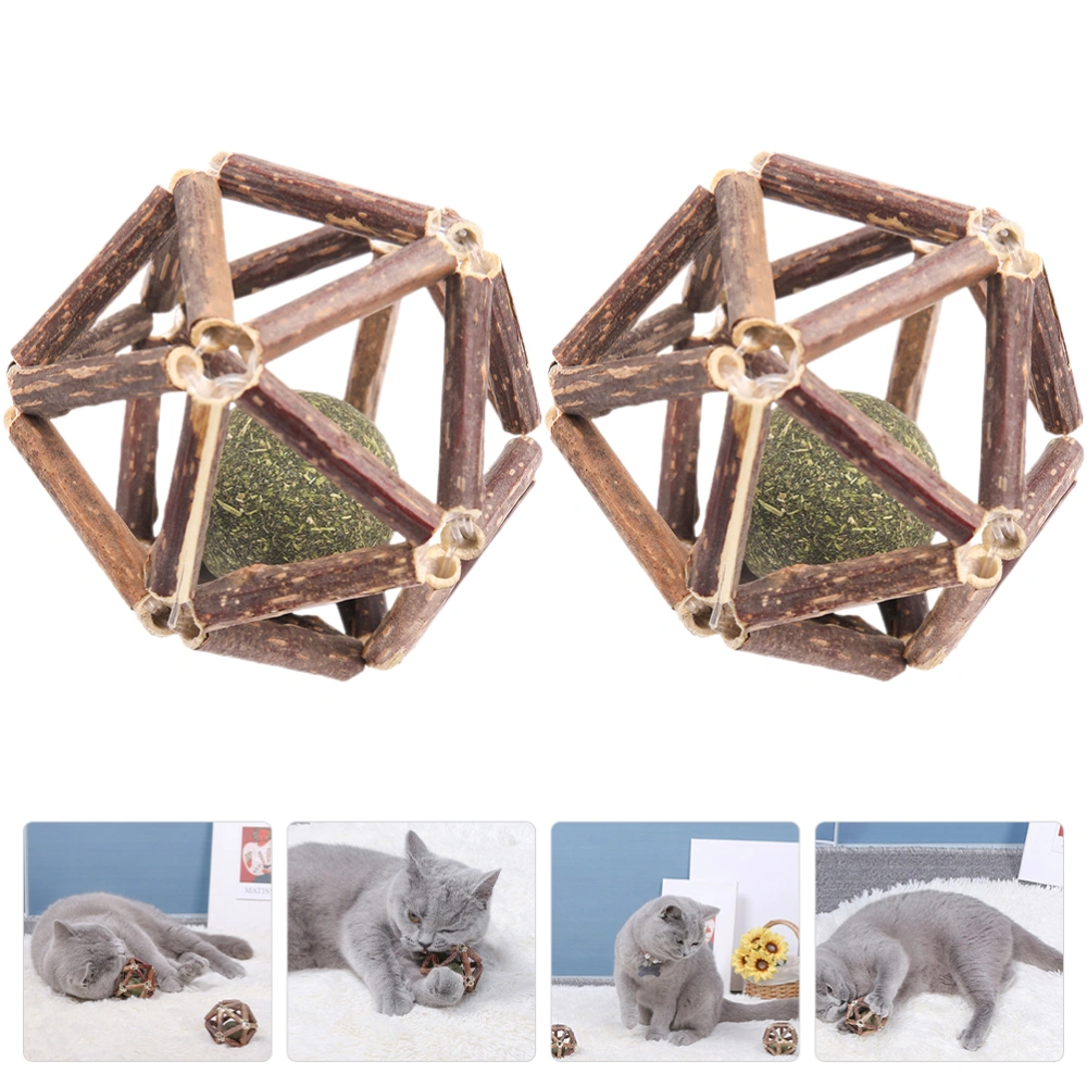 2pcs Cat Catnip Ball Cat Chew Toys for Cleaning Teeth Cat Catnip Toys Cat Toys