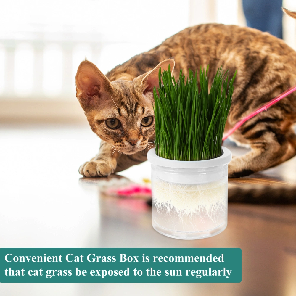 Cat Planting Container Hydroponic Grass Planting Pot Cat Grass Planter Catnip Cat Grass Box