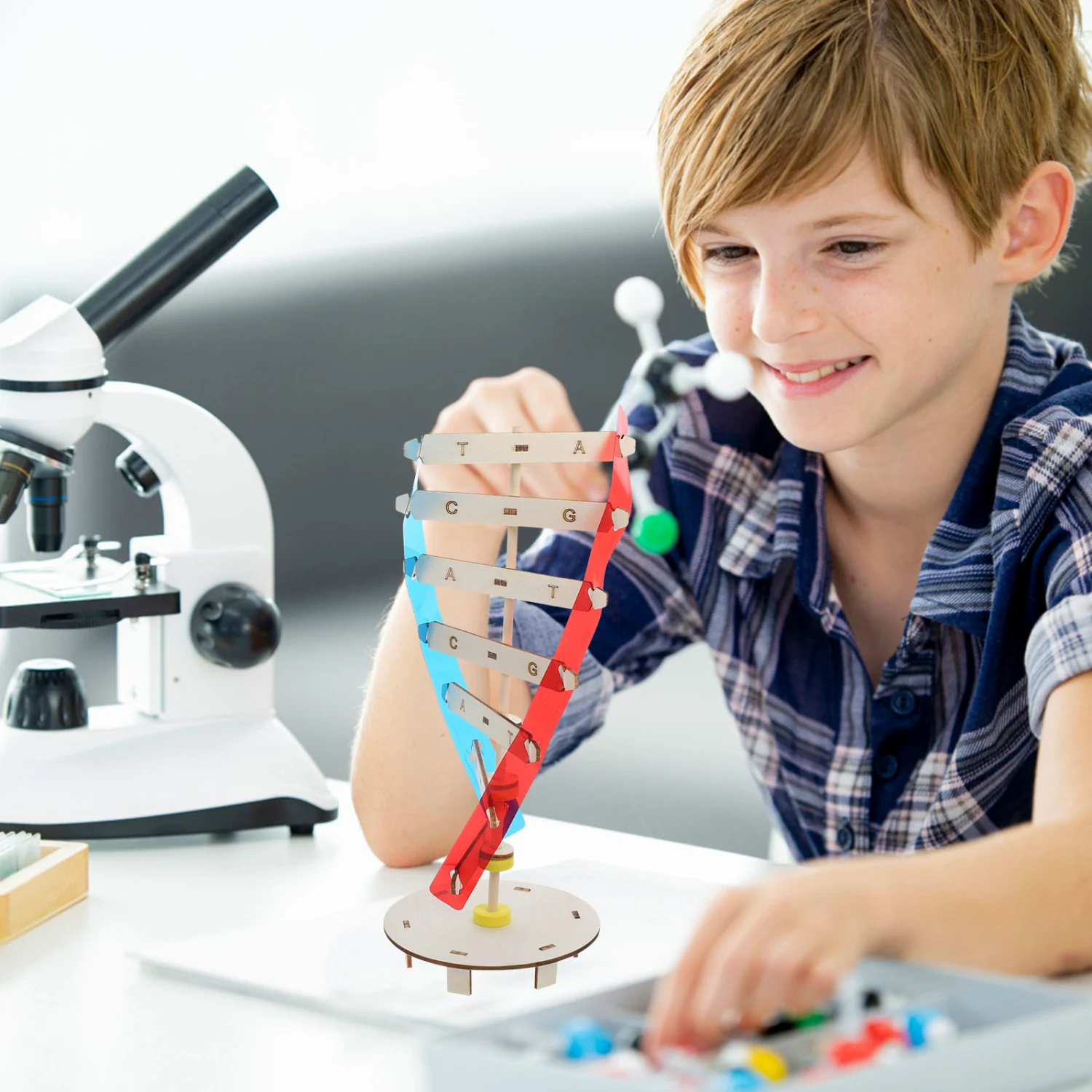 Plastic Human Genes Model DNA Model Scientific Plaything Children Biological Model