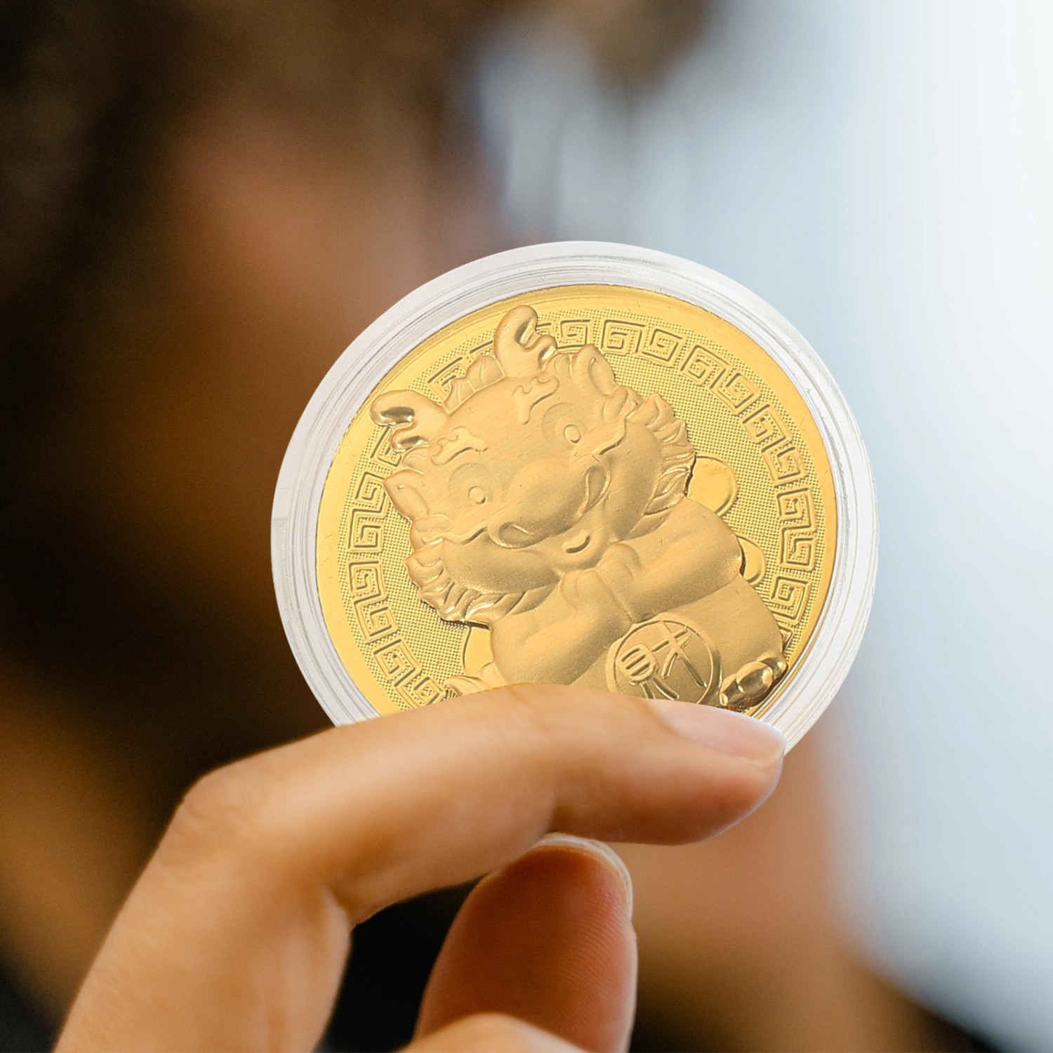 5pcs The Year of Dragon Coins Chinese New Year Coin Collection Commemorative Coin