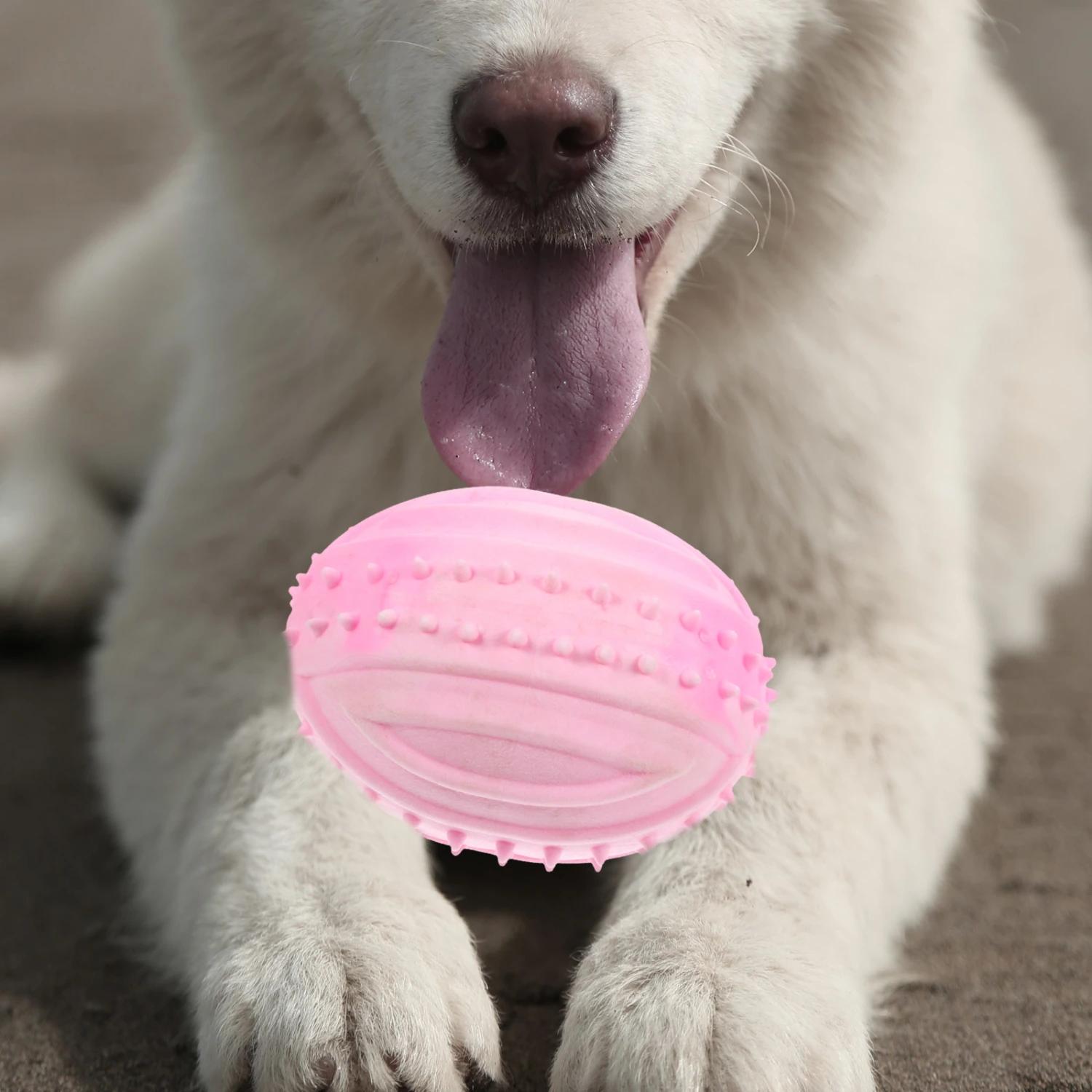 Dog Ball Dog Chewing Ball Toy Rubber Dog Ball Dog Chew Toy Dog Squeaky Plaything