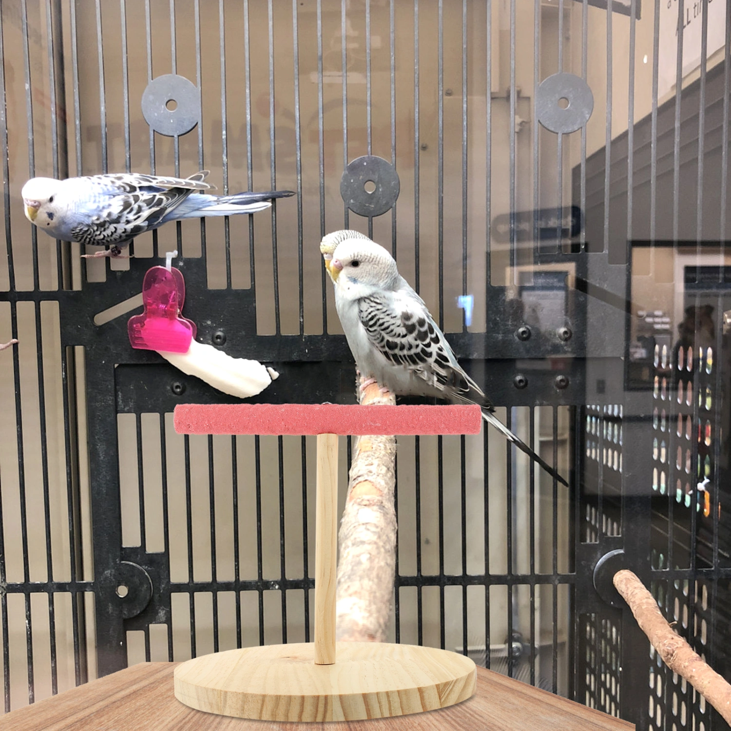 Bird Stand Wooden Bird Perch Parakeet Stand Perch Bird Play Stand Bird Stand for Parrots